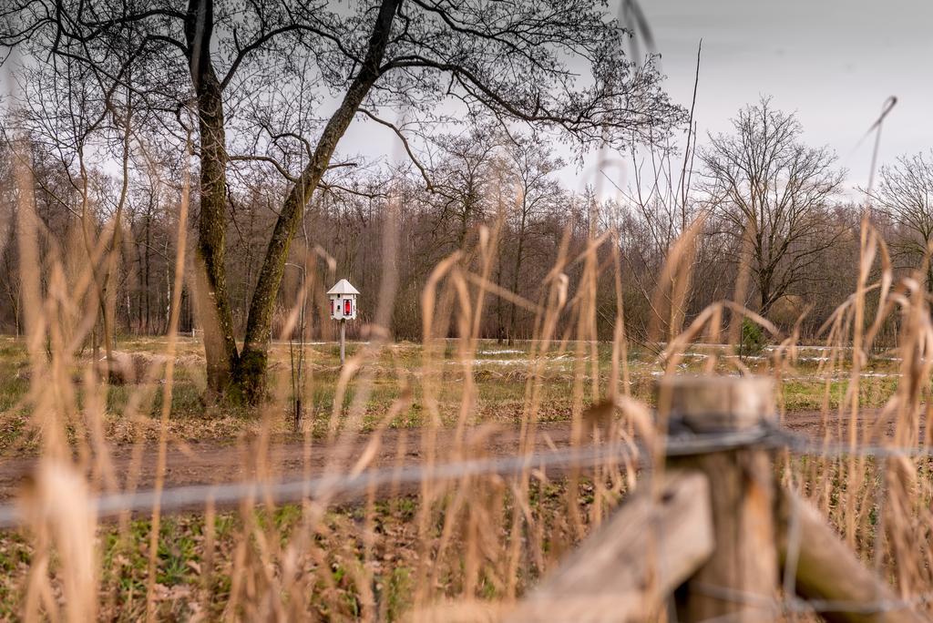 Vila Ravennest Epe Exteriér fotografie